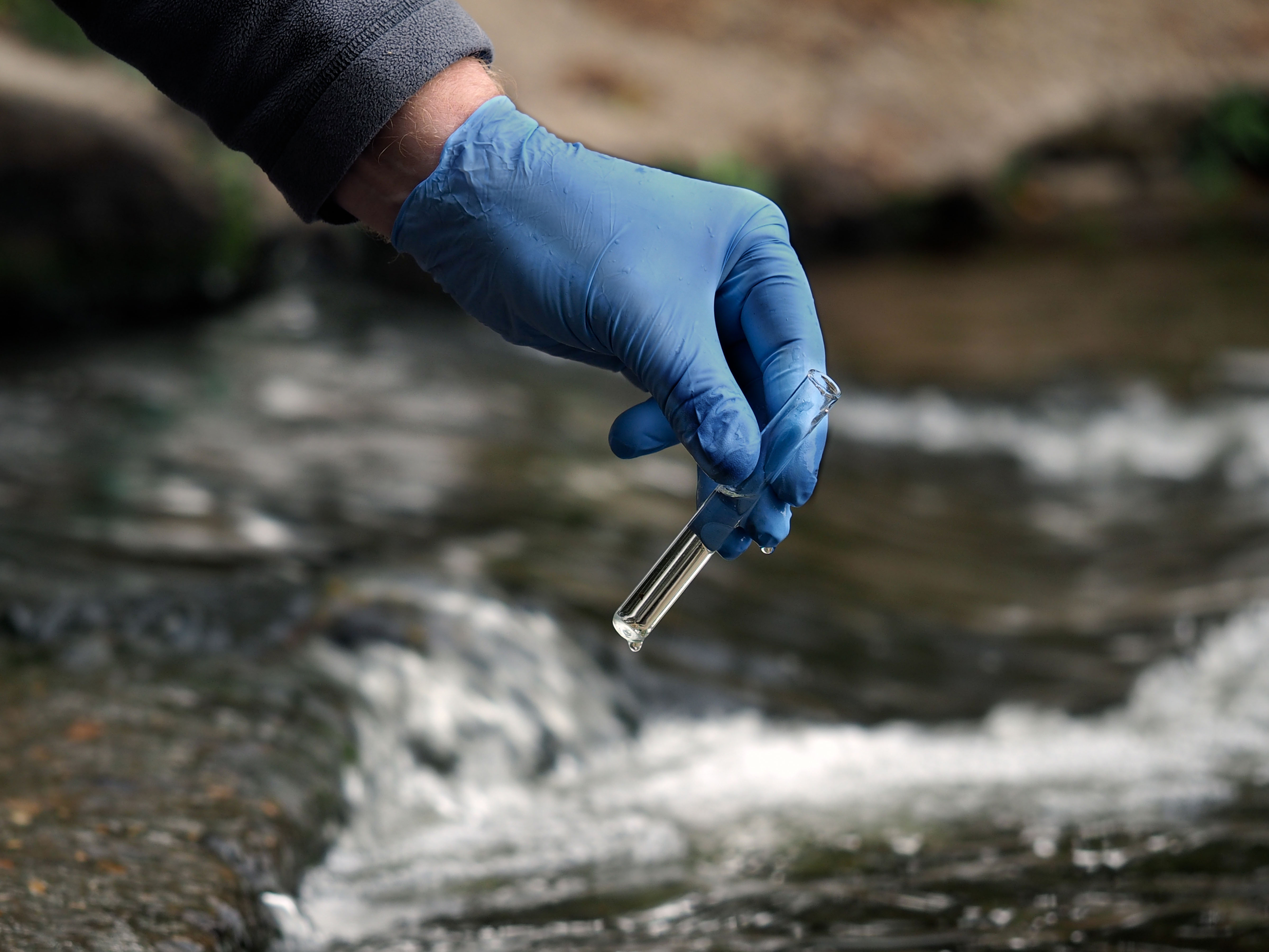 Smiling scientist doing science